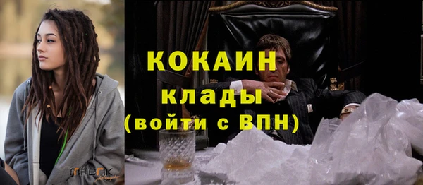 прущие грибы Рославль