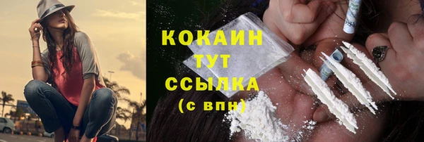 стаф Россошь