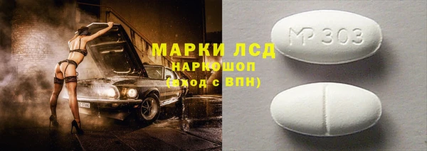 прущие грибы Рославль