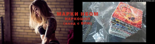прущие грибы Рославль