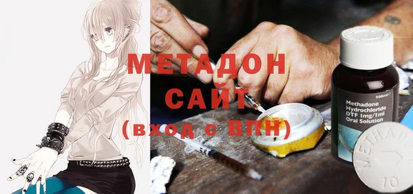 прущие грибы Рославль