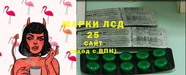 прущие грибы Рославль