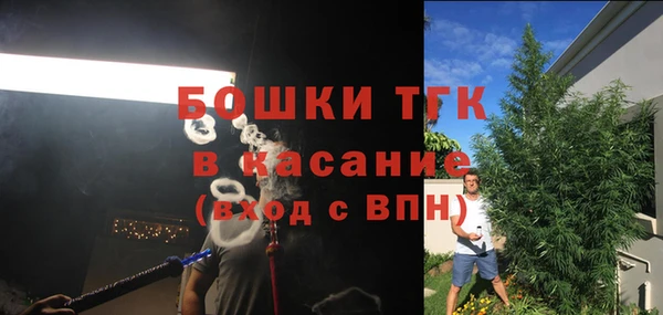 прущие грибы Рославль