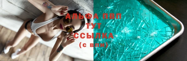 прущие грибы Рославль